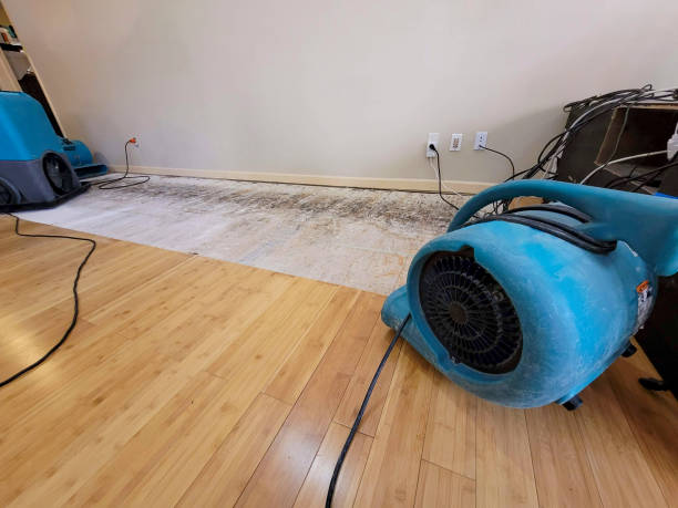 Professional Water Damage Repair technician working in Dunn, NC